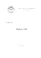 Rizici i mjere zaštite na radu aviomehaničara pri održavanju zrakoplova